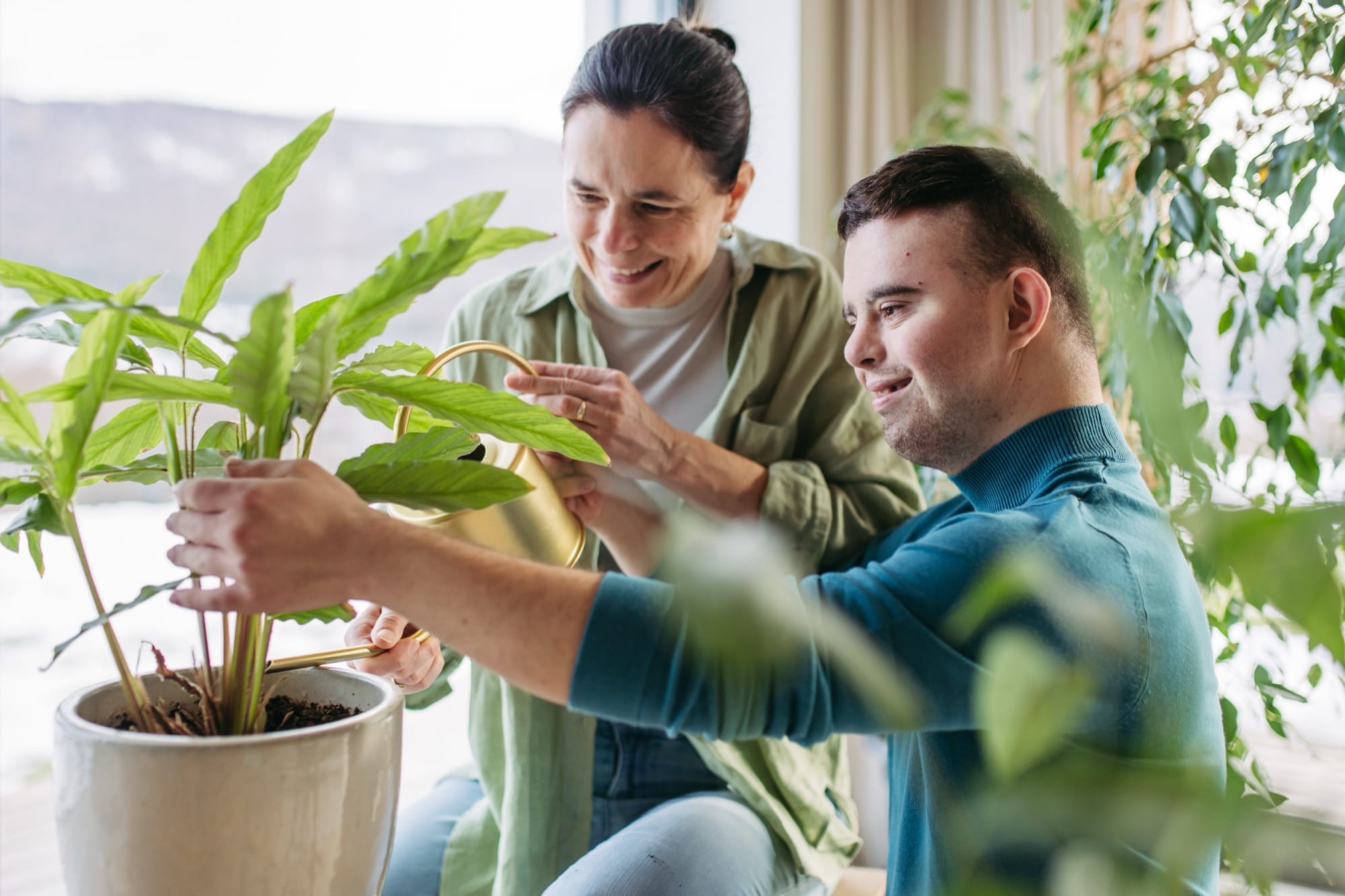 Watering plants together by a sunny window